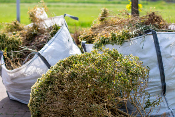 Best Yard Waste Removal  in Las Lomas, CA